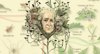 Tanrı Yarattı ve Linnaeus Sınıflandırdı: Carl Linnaeus