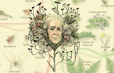 Tanrı Yarattı ve Linnaeus Sınıflandırdı: Carl Linnaeus
